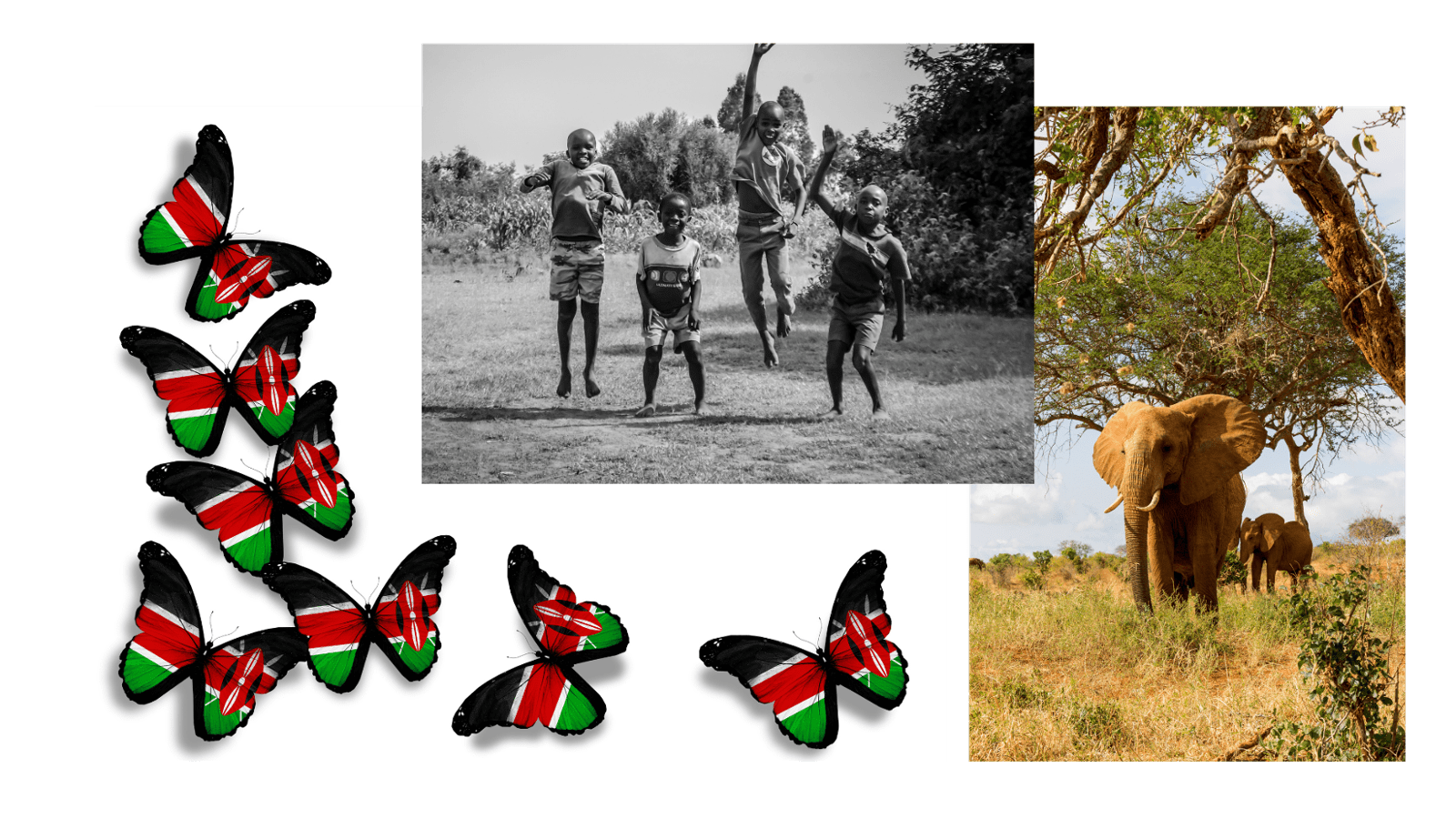 Cultural Immersion in Kenya: A Journey Beyond Tourist Boundaries